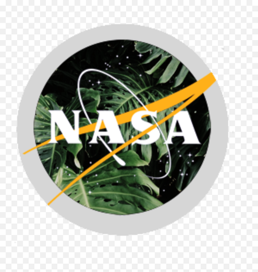 Download Aesthetic Nasa Logo - Nasa Logo Aesthetic Hd Emoji,Nasa Logo