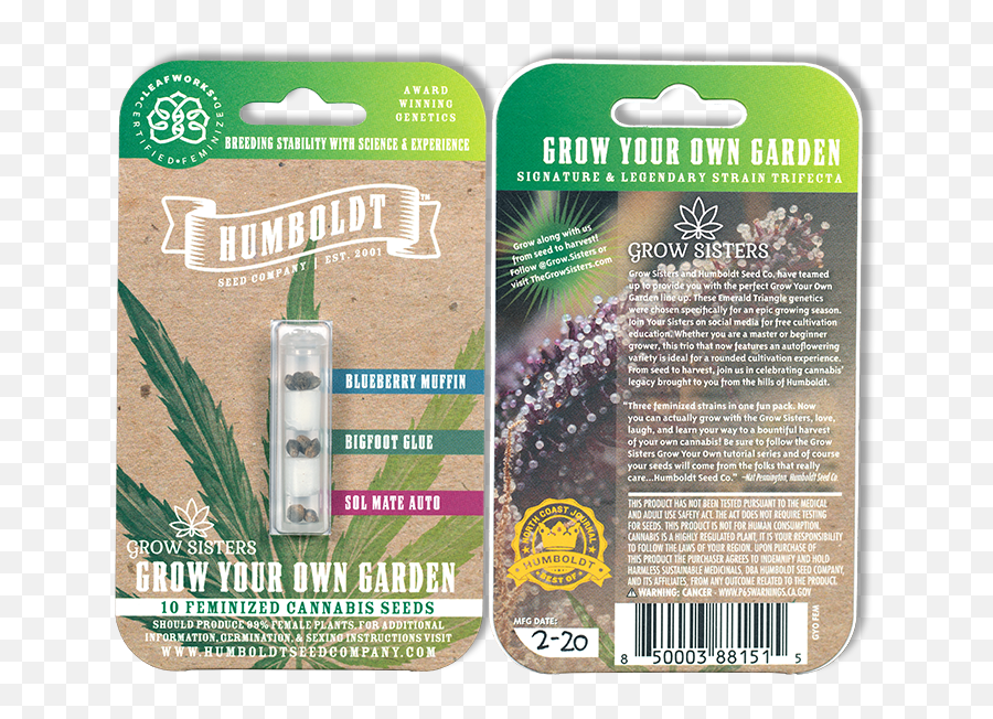 5 Seeds Moringa Oleifera Pkm2 Hybrid Grown For Large Yields Emoji,Blueberry Muffin Clipart