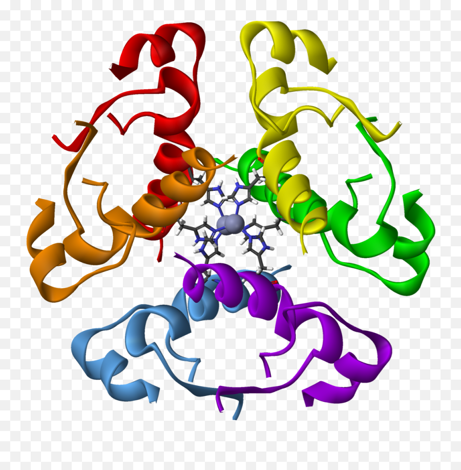 Human - Insulin Protein Png Emoji,Ribbons Png