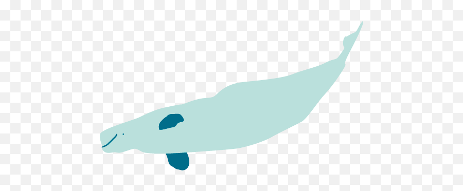 Infographic Underwater Noise Wwf Arctic Emoji,Narwhal Clipart