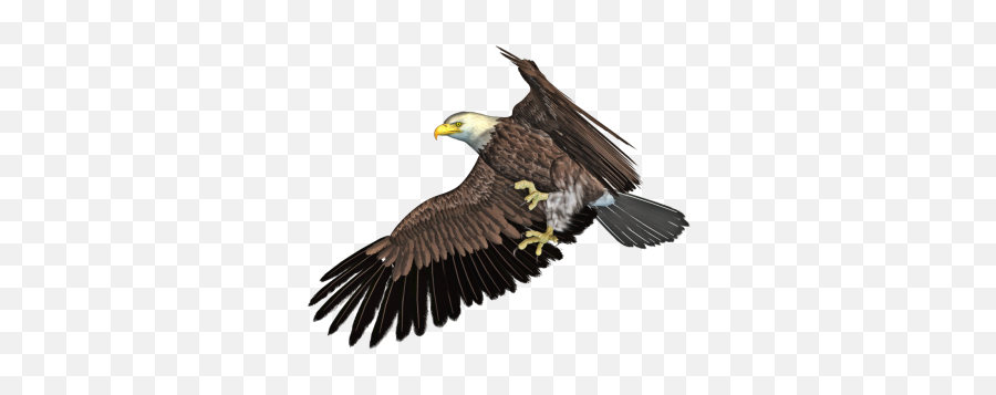 Download Eagle Free Png Transparent Image And Clipart - Eagle Png Emoji,Bald Eagle Png
