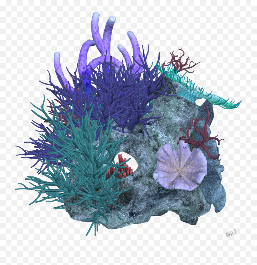 Download Hd Reef Deep Sea Transprent - Sea Coral Png Emoji,Coral Png