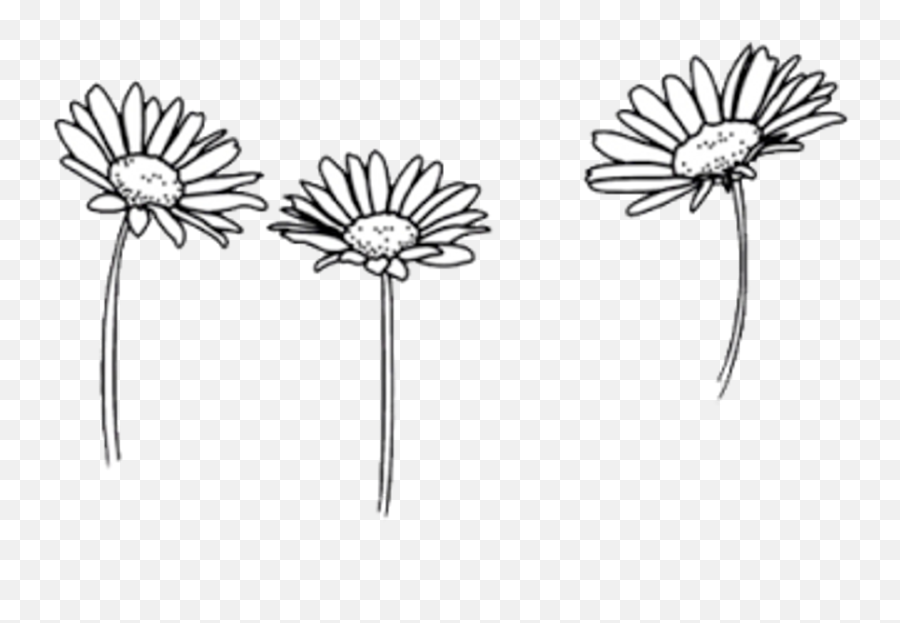 Flower Drawing Png Tumblr Transparent - Outline Small Daisy Tattoo Emoji,Pinterest Png