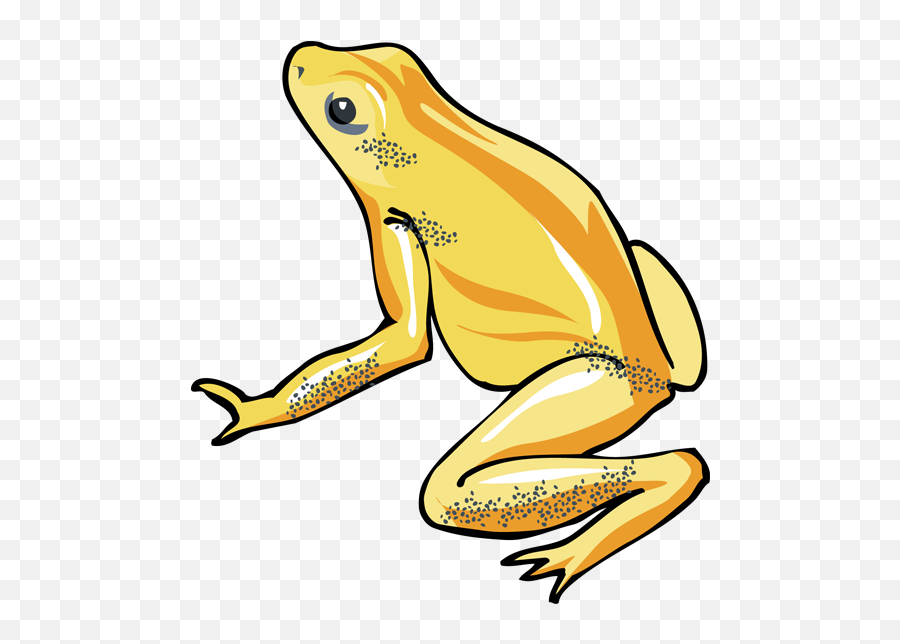 Tree Frog Clipart - Transparent Background Yellow Frog Clip Art Emoji,Frog Clipart