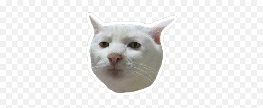 Ben Who Typeorm - Cursorpagination Stargazers Giters Emoji,Crying Cat Meme Transparent