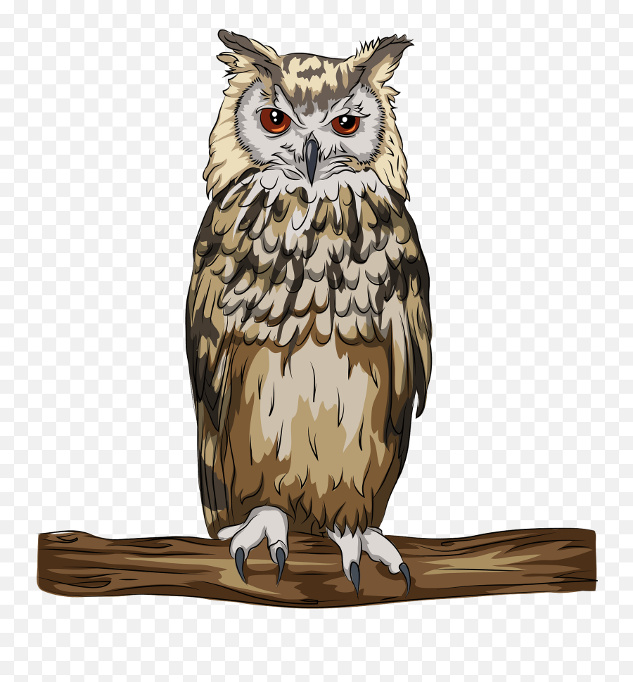 Indian Or Bengal Eagle Owl Clipart Free Download - Cliparts Of Indian Birds Emoji,Owl Clipart