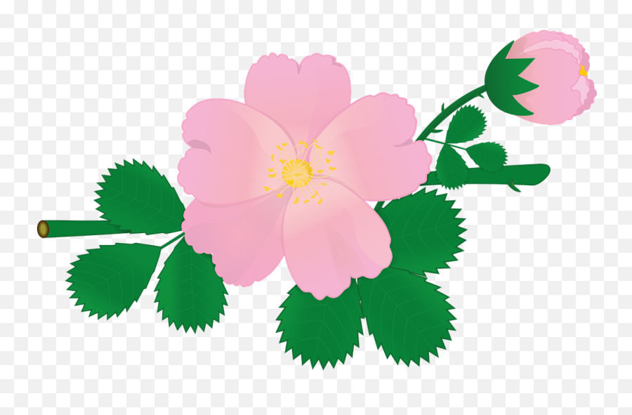 Rose Flower Briar Pink Flowers Png - Flower Emoji,Pink Flowers Png