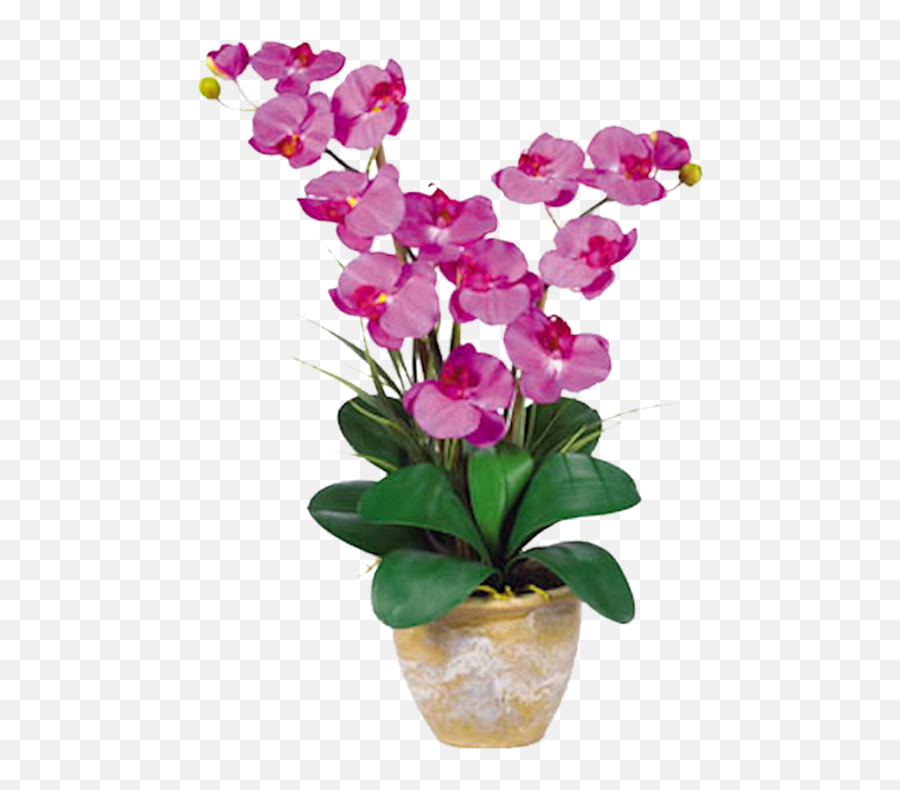 Orchid Double Stem Phalaenopsis Silk Orchid Arrangement - Pink Orchids Flower Arrangement Emoji,Orchid Clipart