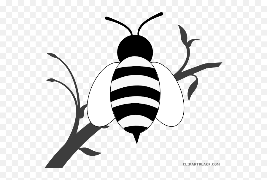 Honey Bee Animal Free Black White Clipart Images - Bee And Tree Black And White Cartoon Emoji,Bee Clipart Black And White