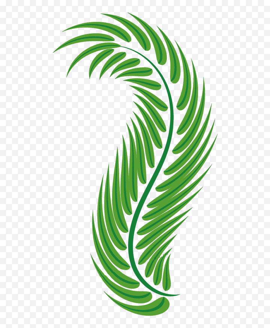 Vector Free Stock Palm Leaf Green Arecaceae Easter - Spiral Leaf Graphic Png Emoji,Palm Leaves Png
