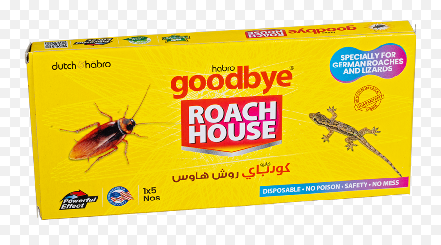 Roach House Cockroach Trap U2013 Goodbye Roaches From Dutch And Emoji,Trap House Png