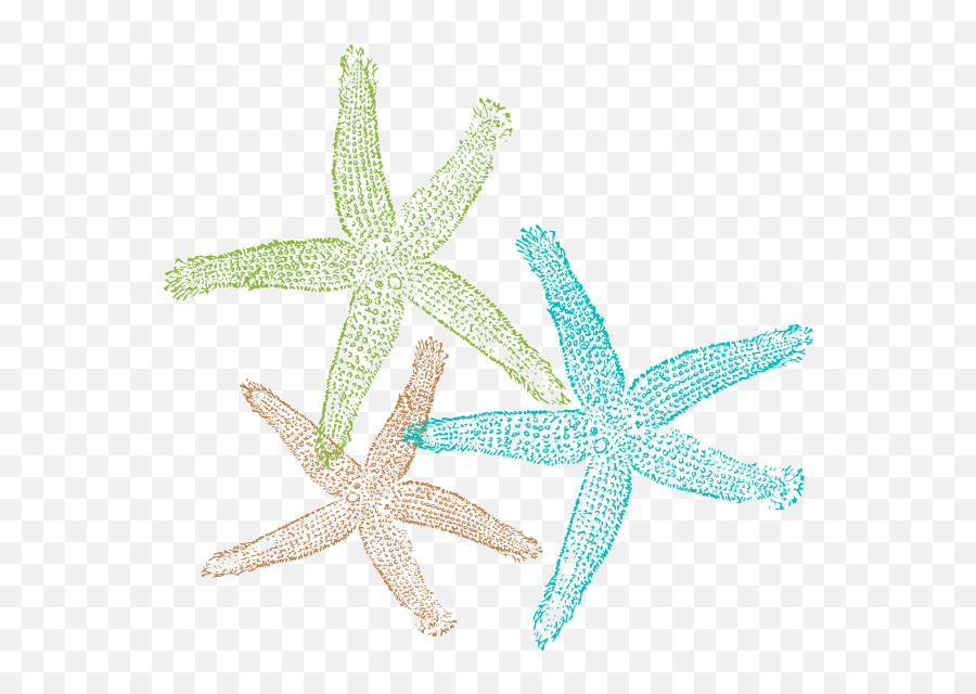 Starfish Png - Starfish Clipart Transparent Emoji,Starfish Png
