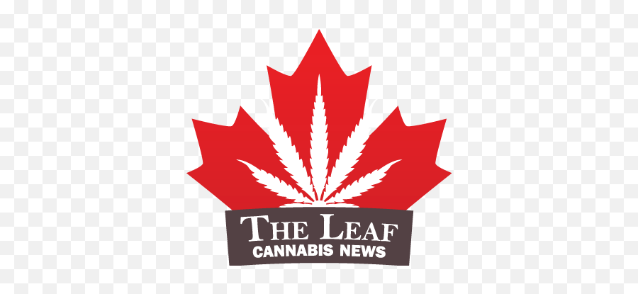 Red Maple Leaf Weed Logo - Logodix Canada Day Black And Orange Emoji,Weed Logos