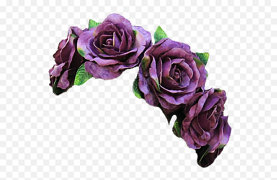 Purple Flower Crown Png Purple Flower - Transparent Background Purple Flower Crown Emoji,Flower Crown Transparent