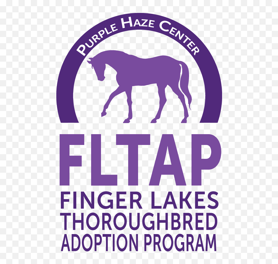 Board Members U2014 Finger Lakes Thoroughbred Adoption Program Emoji,Delaware North Logo