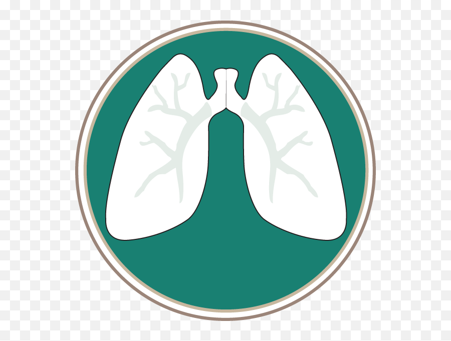 Southern Lung Specialists Pc - Art Emoji,Lungs Clipart