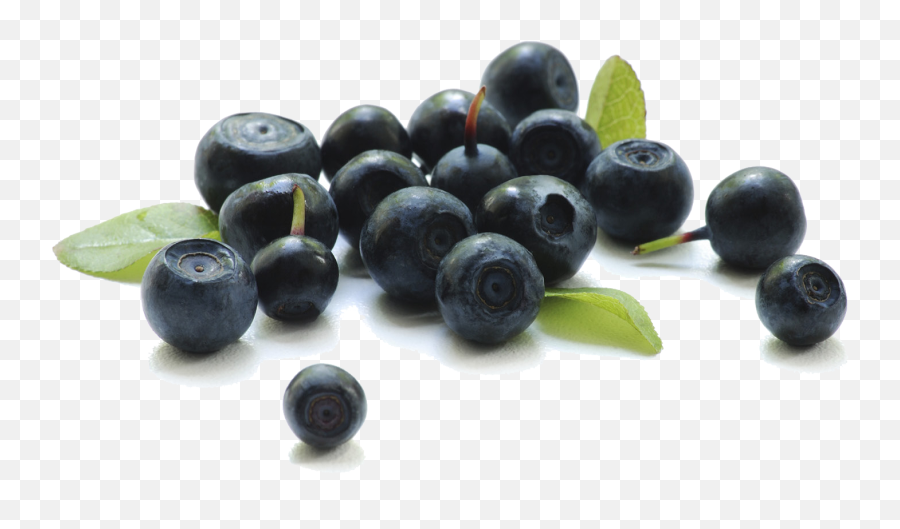 Download Blueberry Transparent Background Hq Png Image - Acai Berry Acai Emoji,Blueberry Png