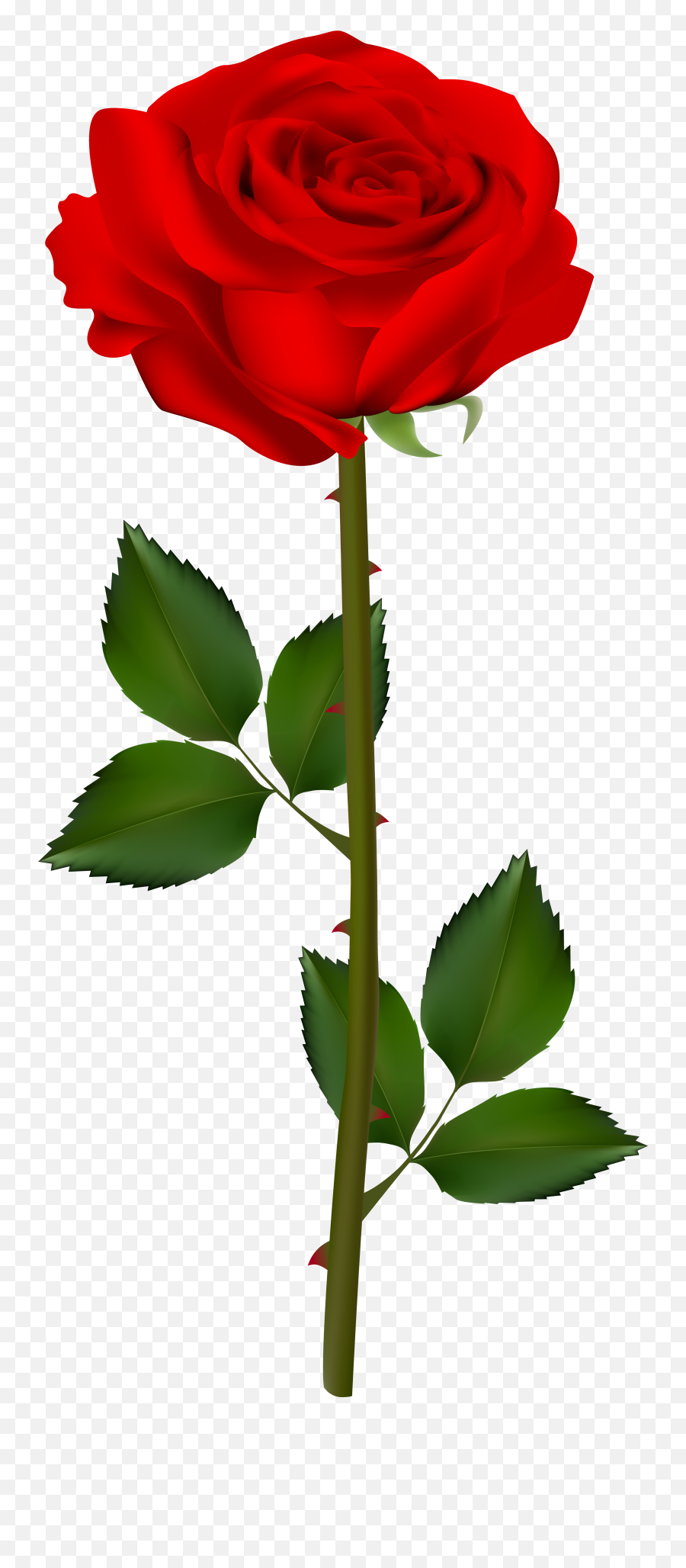 Rose Garden Clipart At Getdrawings - Rose In Garden Clipart Emoji,Garden Clipart
