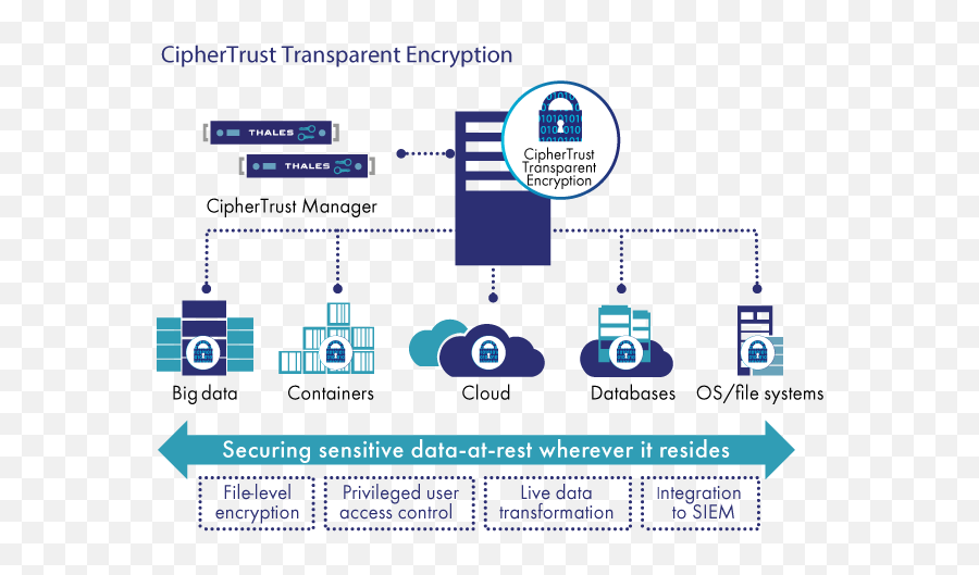 Ciphertrust Transparent Encryption - Ciphertrust Manager Emoji,Key Transparent