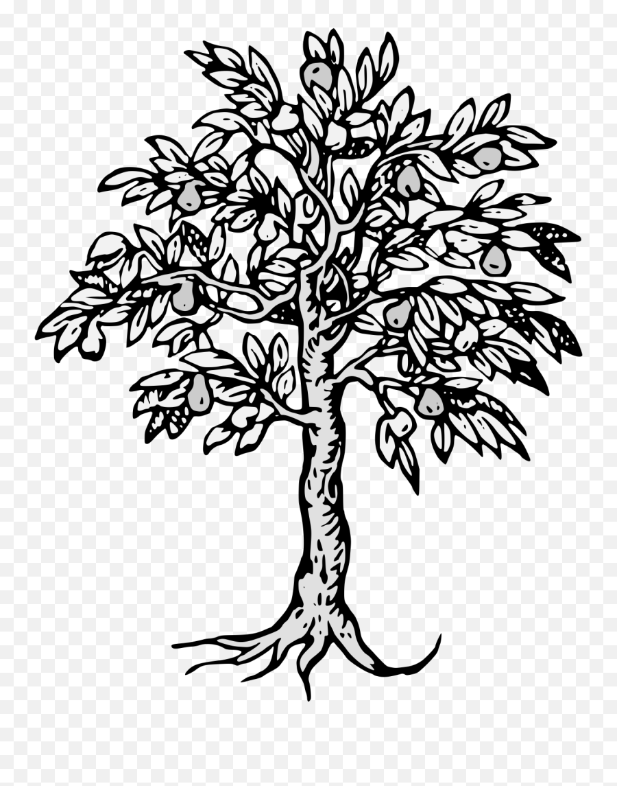 Tree - Traceable Heraldic Art Emoji,Tree Illustration Png