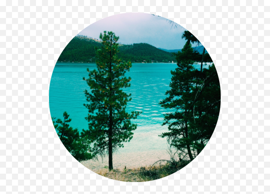 Ashley Lake Montana - Tropical And Subtropical Coniferous Forests Emoji,Transparent Water In Montana