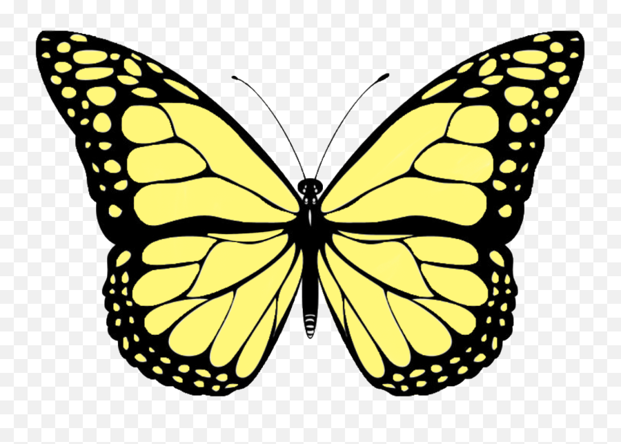Butterfly Painting Emoji,Yellow Butterfly Png