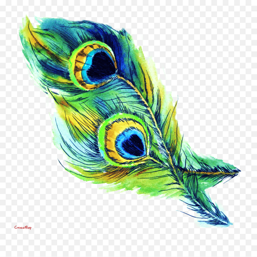 Green Feather Png - Drawing Art Peacock Feathers Emoji,Feather Png