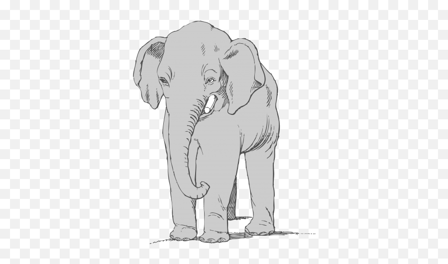 Elephant Clipart Drawing Free Stock - Big Emoji,Elephant Clipart