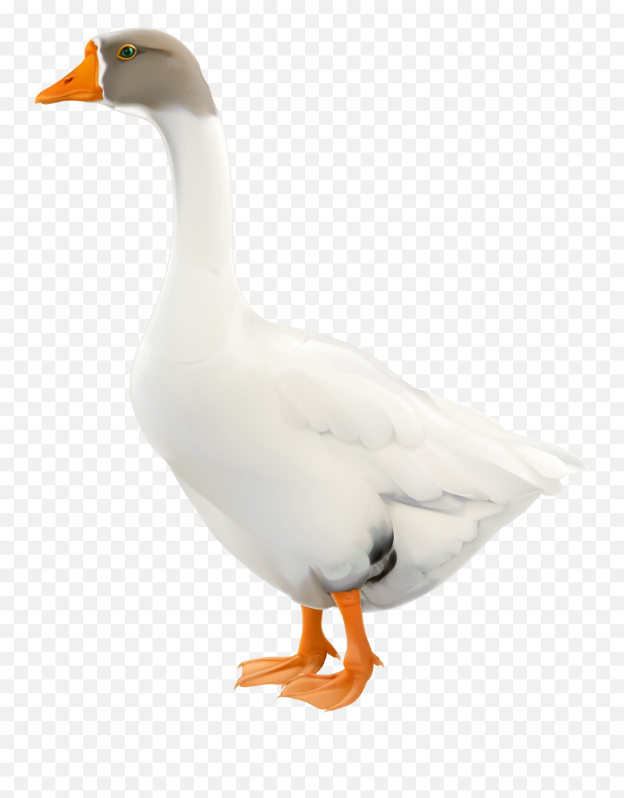 Goose Png Clip Art Image Clip Art Art Images Image - Goose Emoji,Goose Clipart
