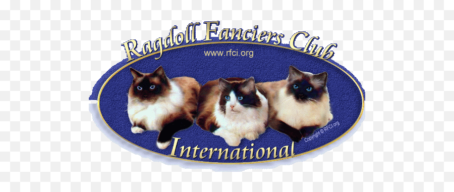 Pin On Cats - Siamese Cat Emoji,Ragdoll Logo
