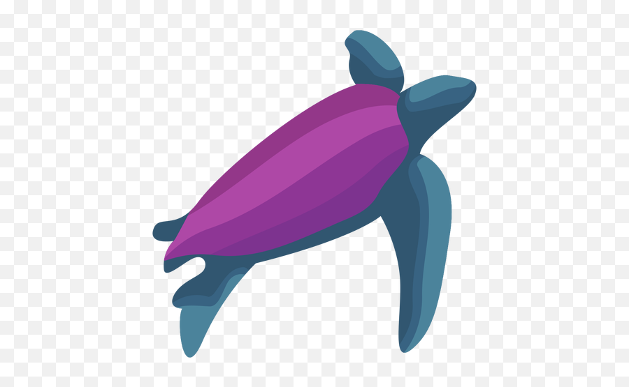 Sea Shell Graphics To Download Emoji,Purple Seashell Clipart
