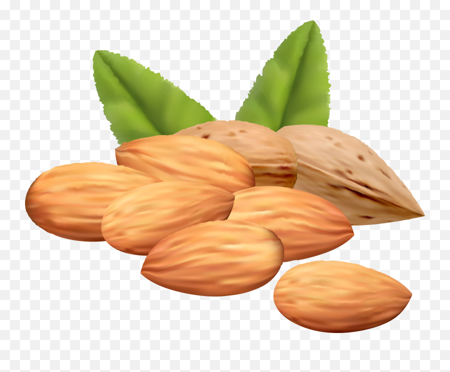 Download Nut Clipart Cute Borders - Almonds Clipart Emoji,Nut Clipart
