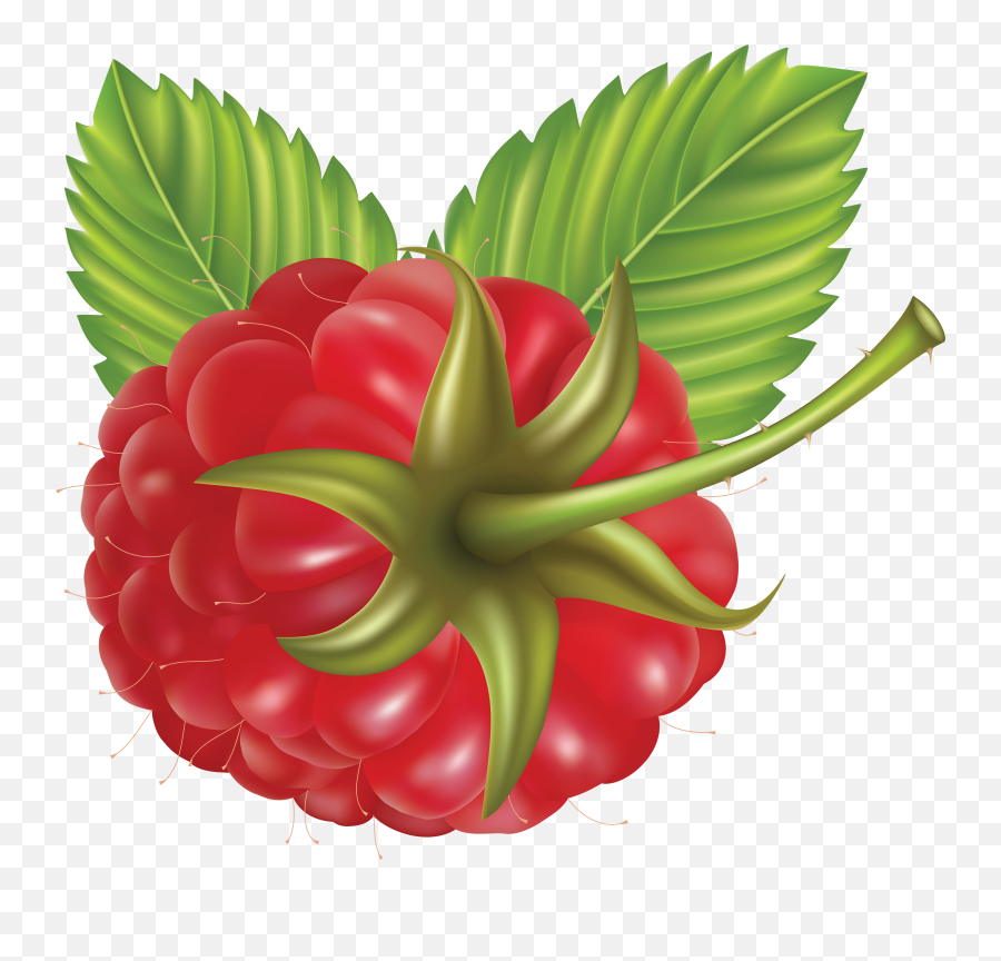 Raspberry Png Alpha Channel Clipart - Raspberry Vector Png Emoji,Raspberry Clipart