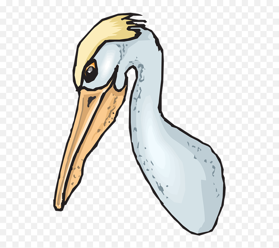 Pelican Seabird Pouch Pelecanus - Pelican Head Png Emoji,Pelican Clipart