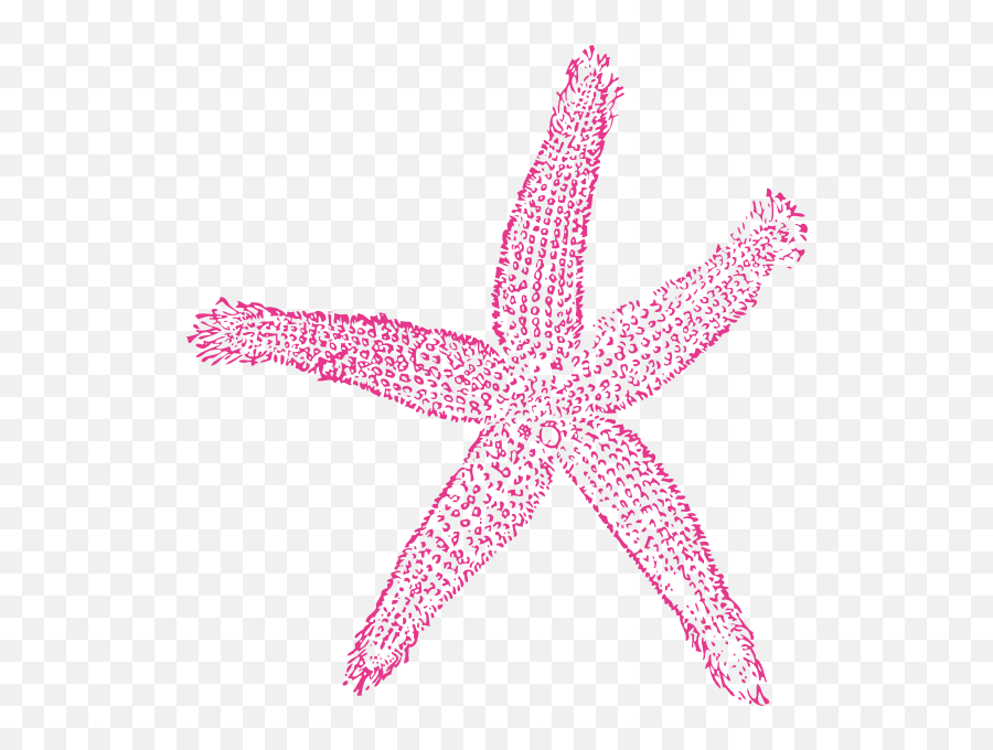 Starfish Clip Art At Clker - Pink Starfish Clip Art Emoji,Starfish Clipart Black And White