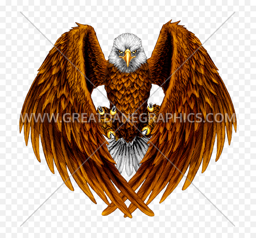 Outstreched Eagle Production Ready Artwork For T - Shirt Bald Eagle Emoji,Bald Eagle Png