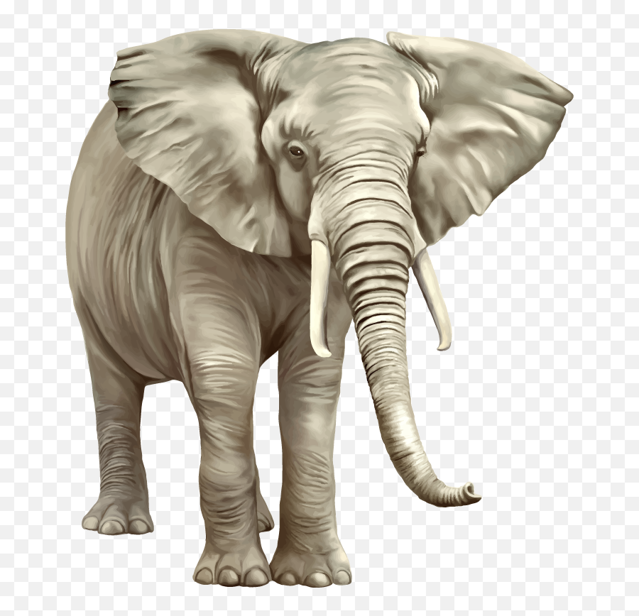 African Vector Elephant Transparent - Png Transparent Background Elephant Png Emoji,Elephant Transparent Background