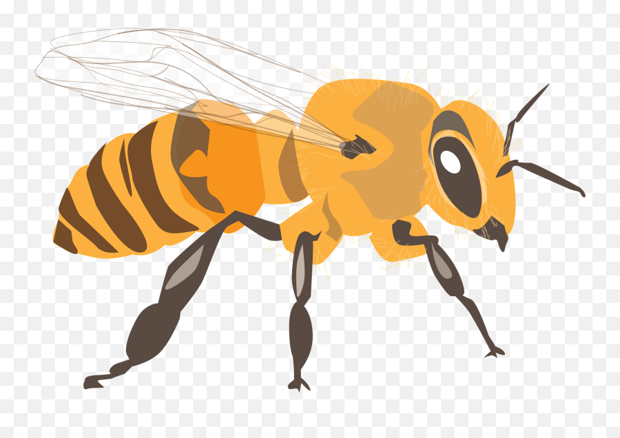 Bee Clipart - Come Salvare Le Api Emoji,Bee Clipart
