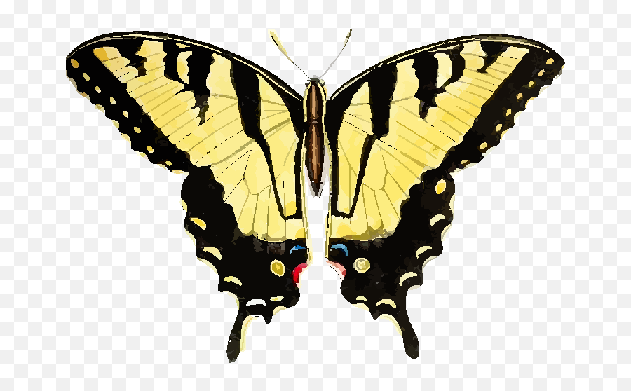 Yellow Butterfly Clip Art At Clker Emoji,Yellow Butterfly Png
