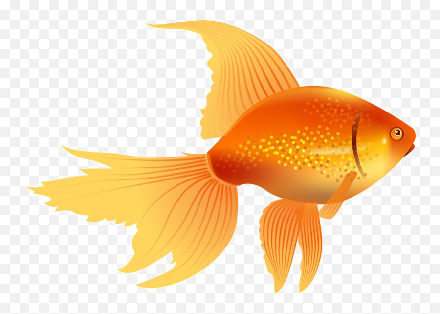 Image - Clip Art Goldfish Emoji,Goldfish Clipart