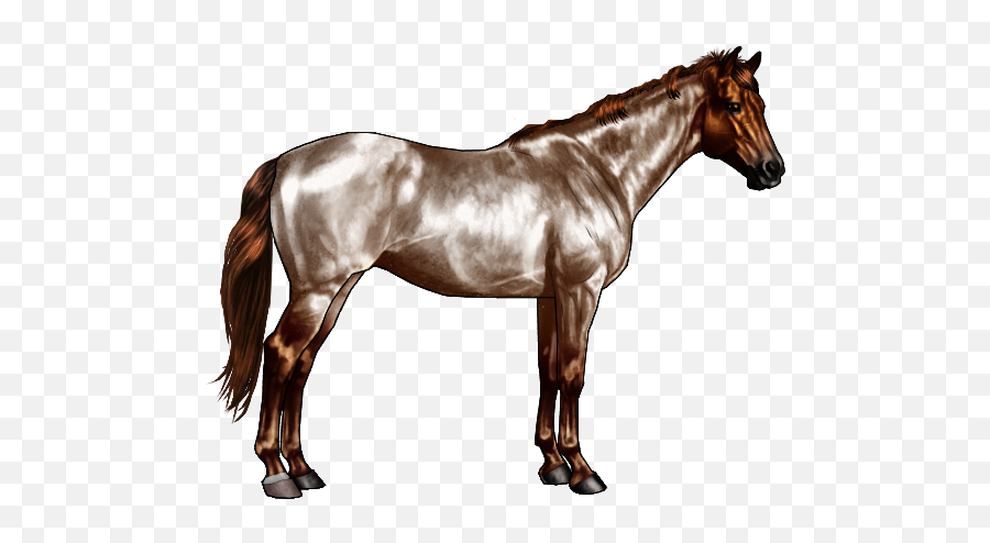 Apache Drawing Horse Transparent U0026 Png C 2604897 - Png Horse Png Transparent Emoji,Liver Clipart