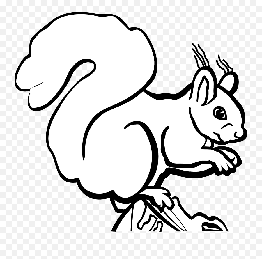 Squirrel - Black And White Clipart Free Download Clip Art Of Squrriel Black And White Emoji,Squirrel Clipart