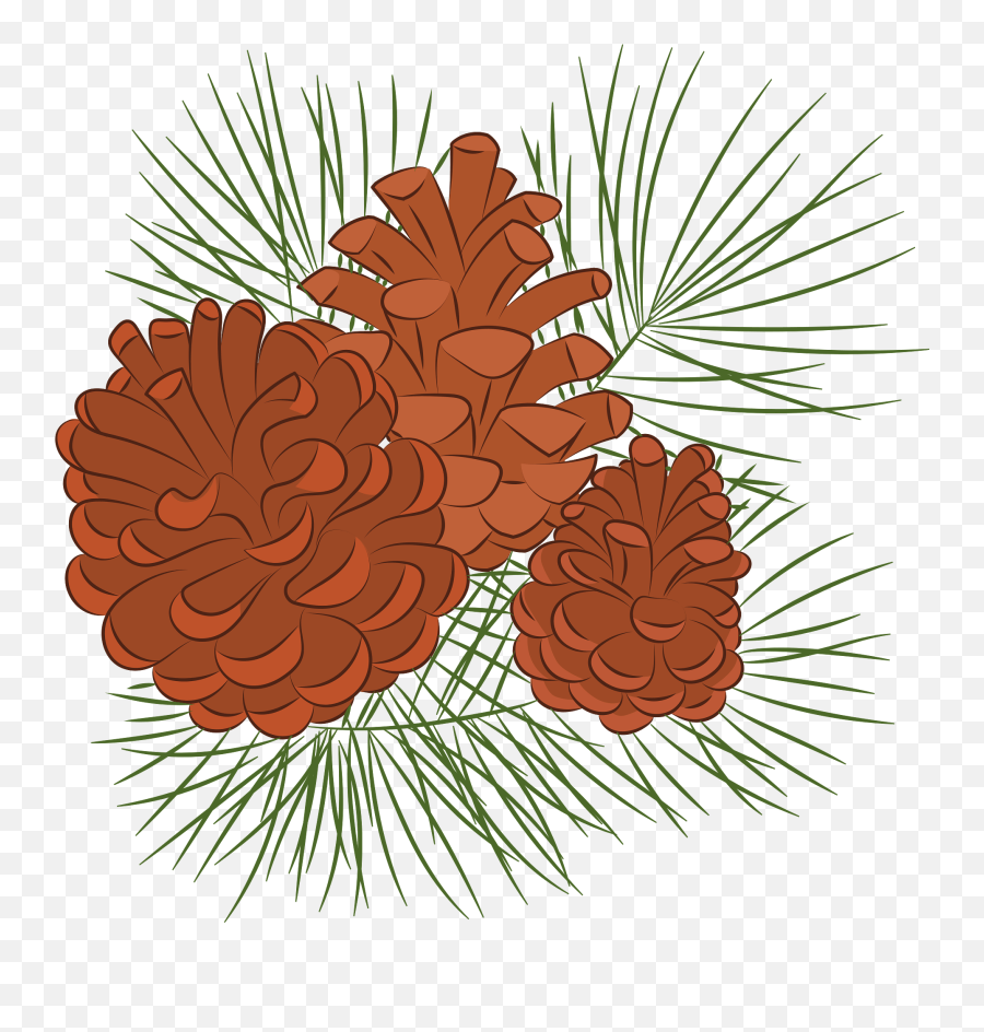 Pine Cone Clipart - Virginia Pine Emoji,Pinecone Clipart