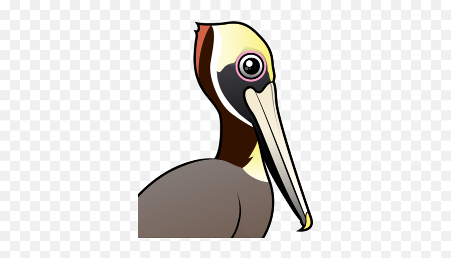 Cute Brown Pelican - Birdorable Pelican Emoji,Pelican Clipart