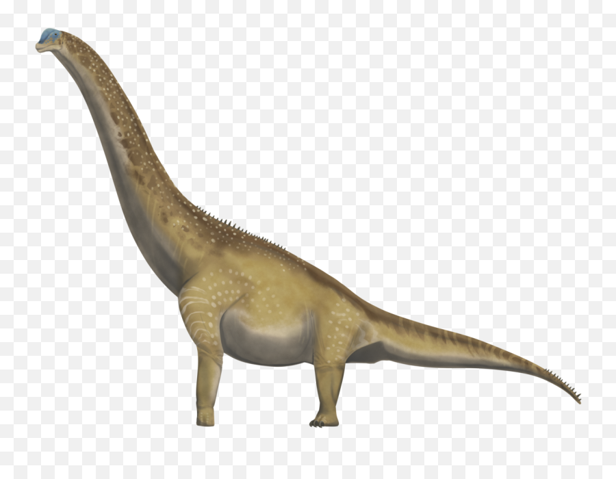Brachiosaurus Altithorax Side Emoji,Profile Png