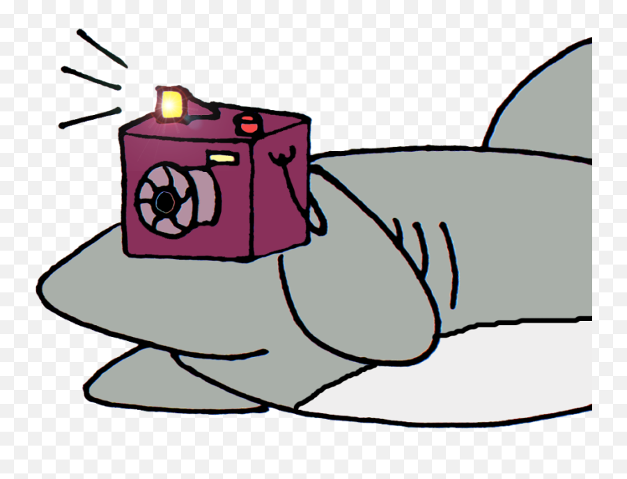 Download Shark With Camera Cartoon Png Image With No Emoji,Camera Cartoon Png