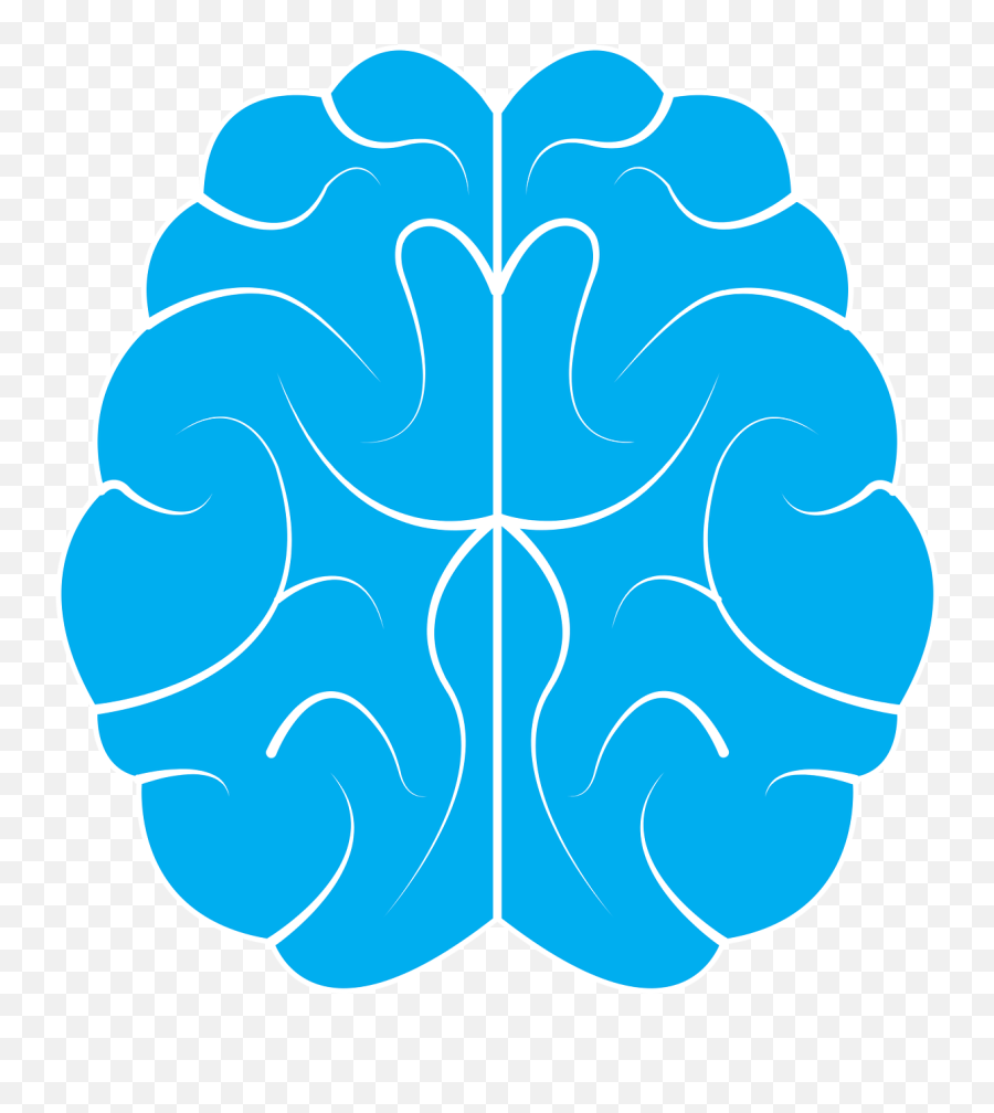 Brain Icon Human - Vector Brain Icon Png Emoji,Brain Png