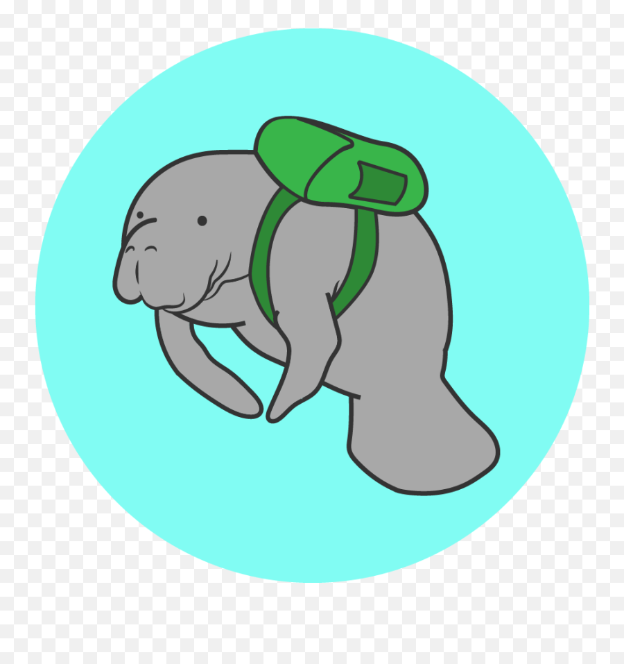 Uf To The Rescue - News University Of Florida Emoji,Manatee Png