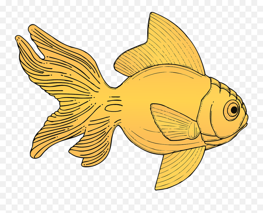 Goldfish Clipart Goldfish Food - Golden Fish Drawing Emoji,Goldfish Clipart