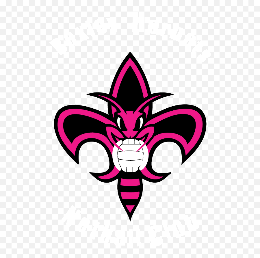 Product Logos - New Orleans Hornets Logo Png Clipart Full New Orleans Hornets Emoji,Hornets Logo